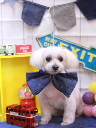 20230429ヒメちゃん